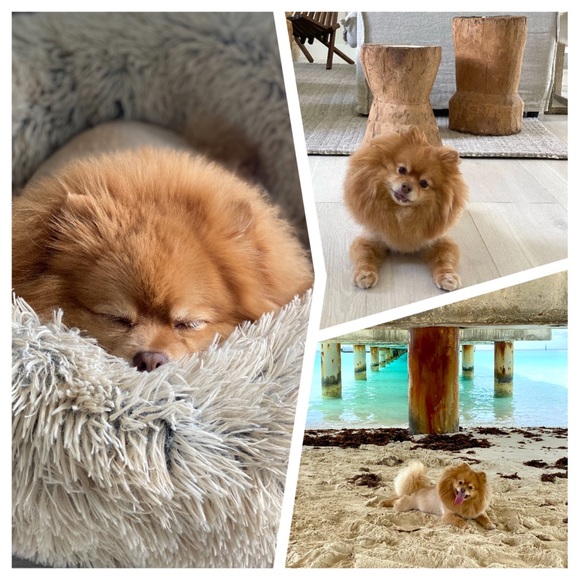 M E E T M E - Picture 7 of 7